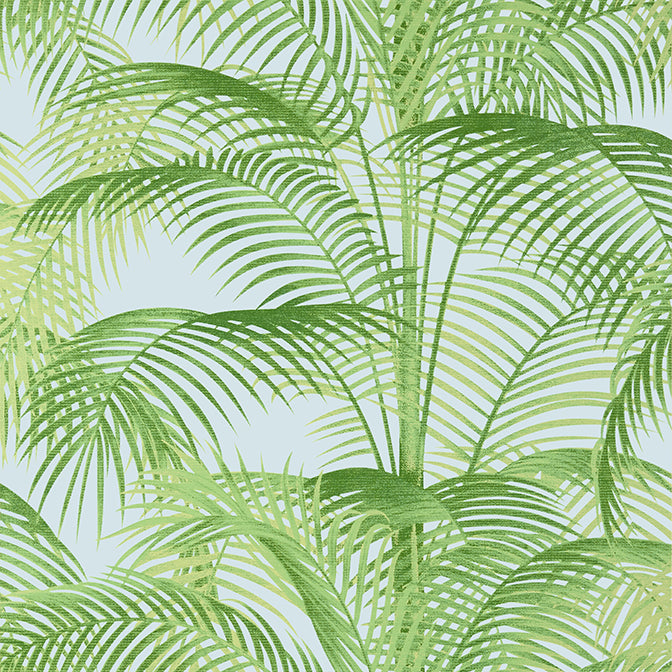 Purchase a sample of T13937 Delray, Palm Grove by Thibaut Wallpaper