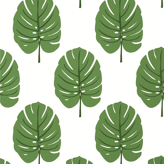 Purchase T13952 MONSTERA, Palm Grove by Thibaut Wallpaper