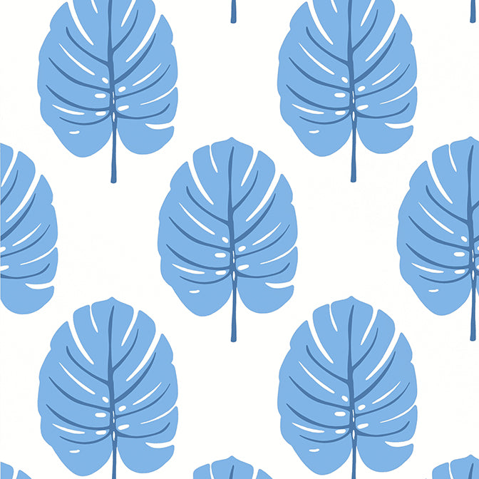 Purchase T13953 MONSTERA, Palm Grove by Thibaut Wallpaper