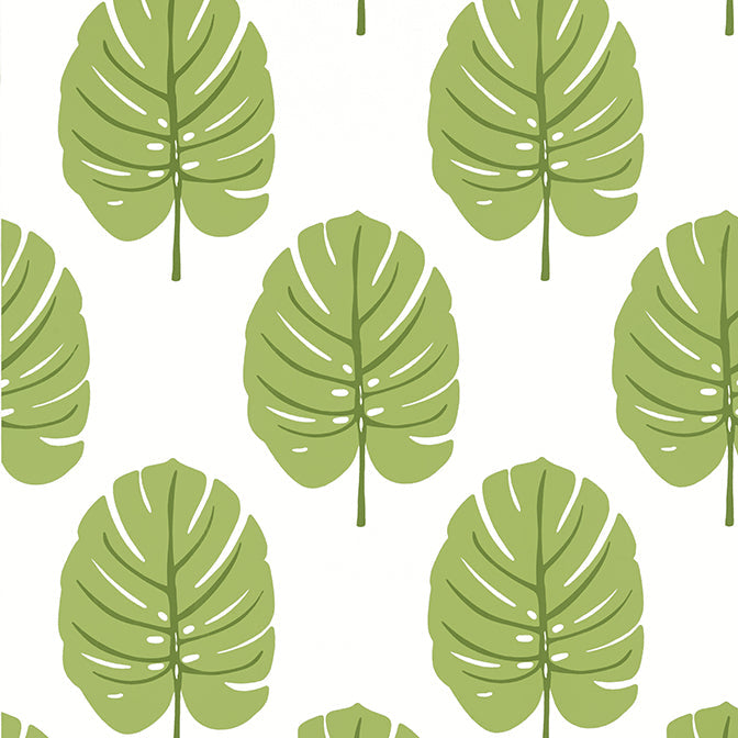 Purchase a sample of T13955 Monstera, Palm Grove by Thibaut Wallpaper