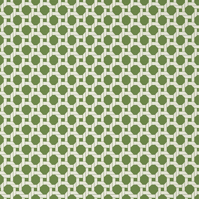 Purchase T13957 CHARTER, Palm Grove by Thibaut Wallpaper