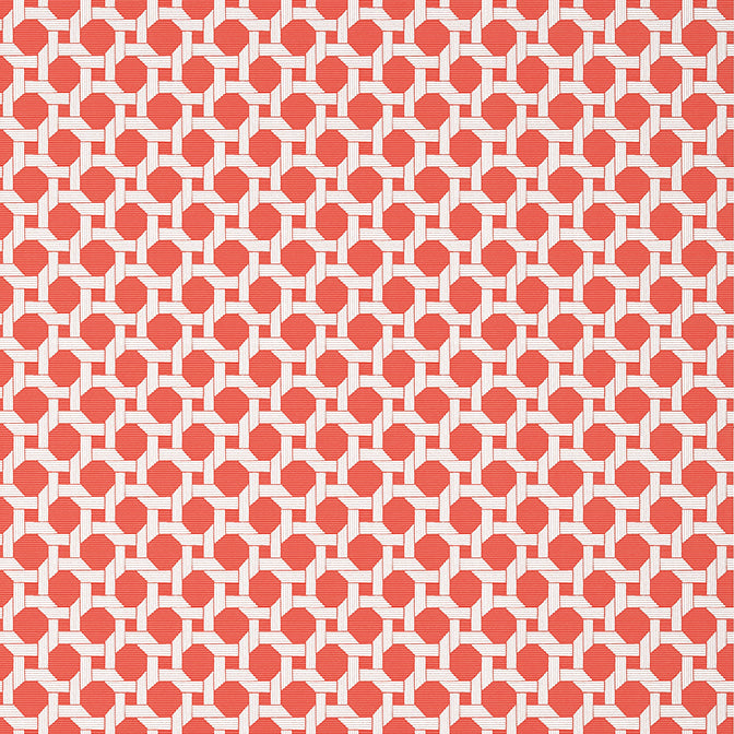 Purchase T13958 CHARTER, Palm Grove by Thibaut Wallpaper