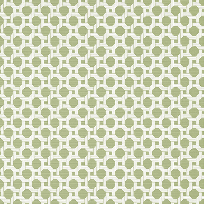Purchase a sample of T13959 Charter, Palm Grove by Thibaut Wallpaper