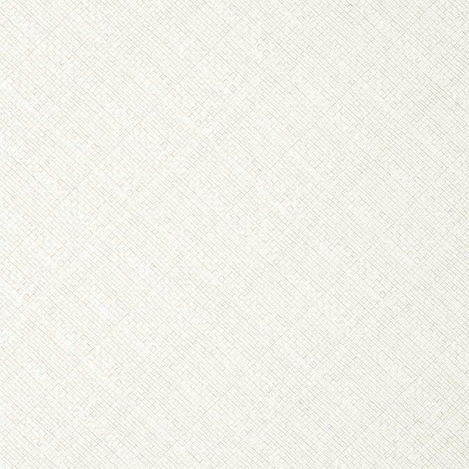Purchase T14500 JACKSON WEAVE, Texture Resource 8 by Thibaut Wallpaper