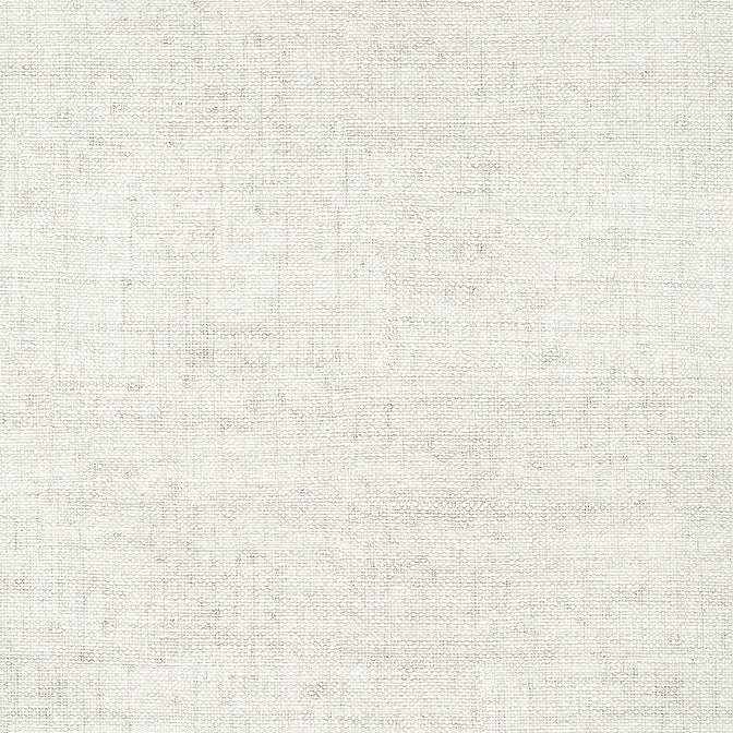 Purchase T14509 BANKUN RAFFIA, Texture Resource 8 by Thibaut Wallpaper