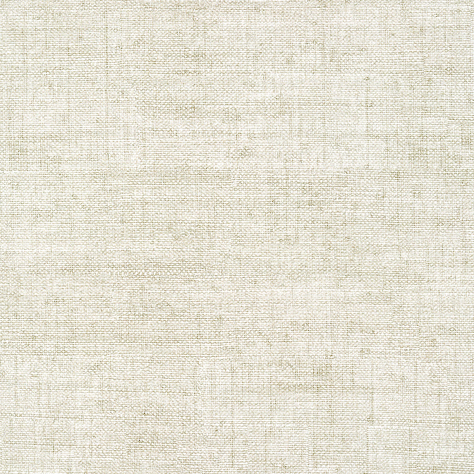 Purchase T14510 BANKUN RAFFIA, Texture Resource 8 by Thibaut Wallpaper