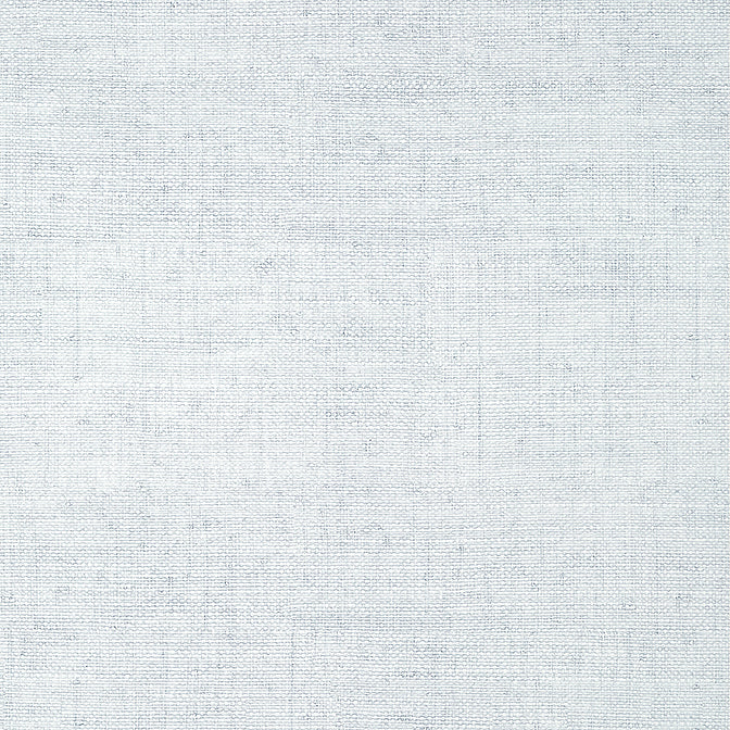 Purchase T14517 BANKUN RAFFIA, Texture Resource 8 by Thibaut Wallpaper