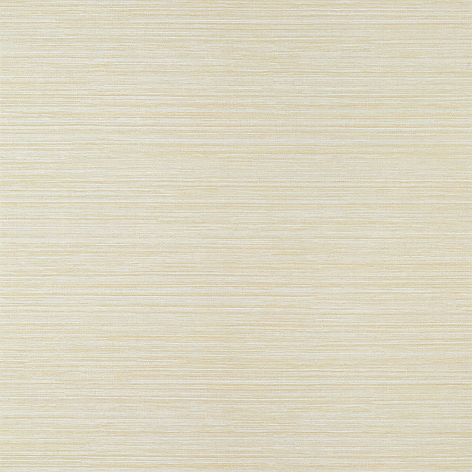 Purchase a sample of T14524 Luta Sisal, Texture Resource 8 by Thibaut Wallpaper
