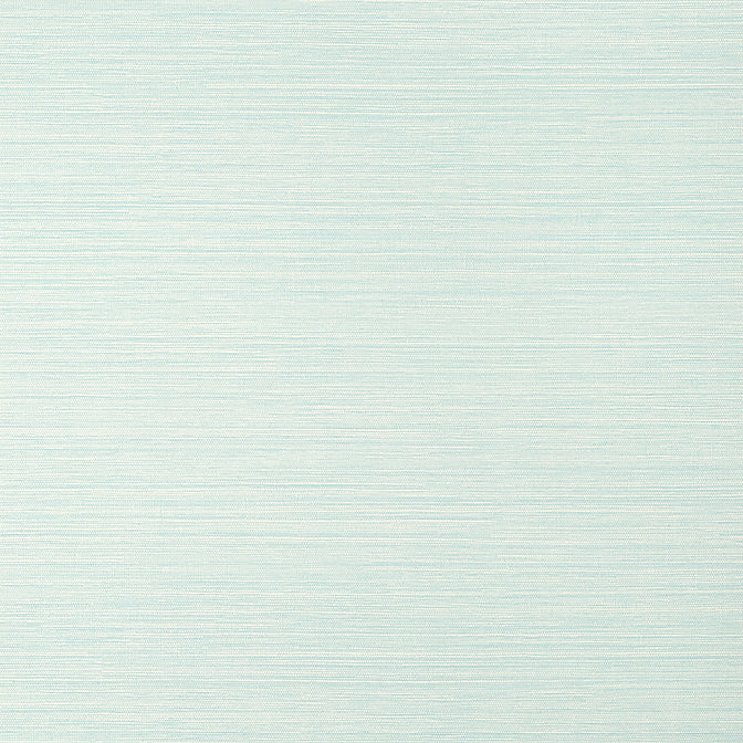 Purchase T14528 LUTA SISAL, Texture Resource 8 by Thibaut Wallpaper