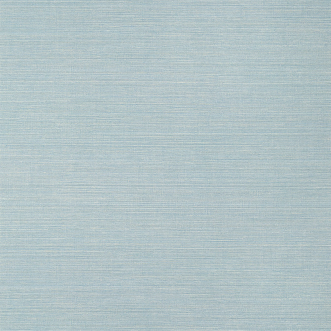 Purchase T14530 LUTA SISAL, Texture Resource 8 by Thibaut Wallpaper