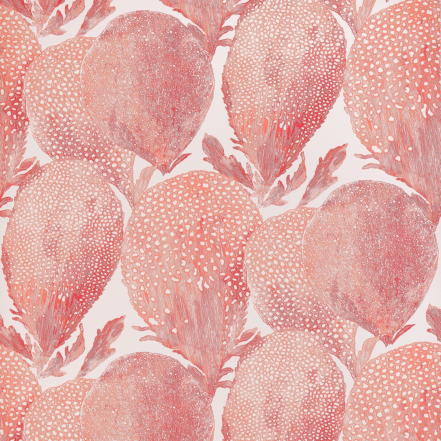 Looking For Thibaut Wallpaper Item T15825 Pattern Name Under The Sea From The Collection Islander.