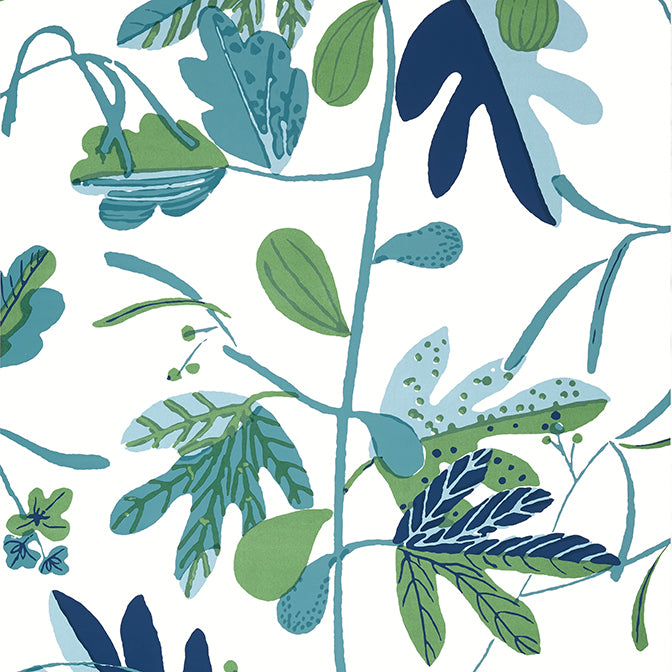 Purchase T16209 MATISSE LEAF, Kismet by Thibaut Wallpaper