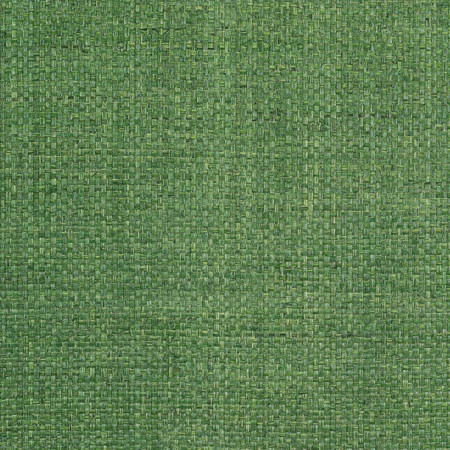 Purchase Thibaut Wallpaper Product T19607 pattern name Lauderdale color Green.
