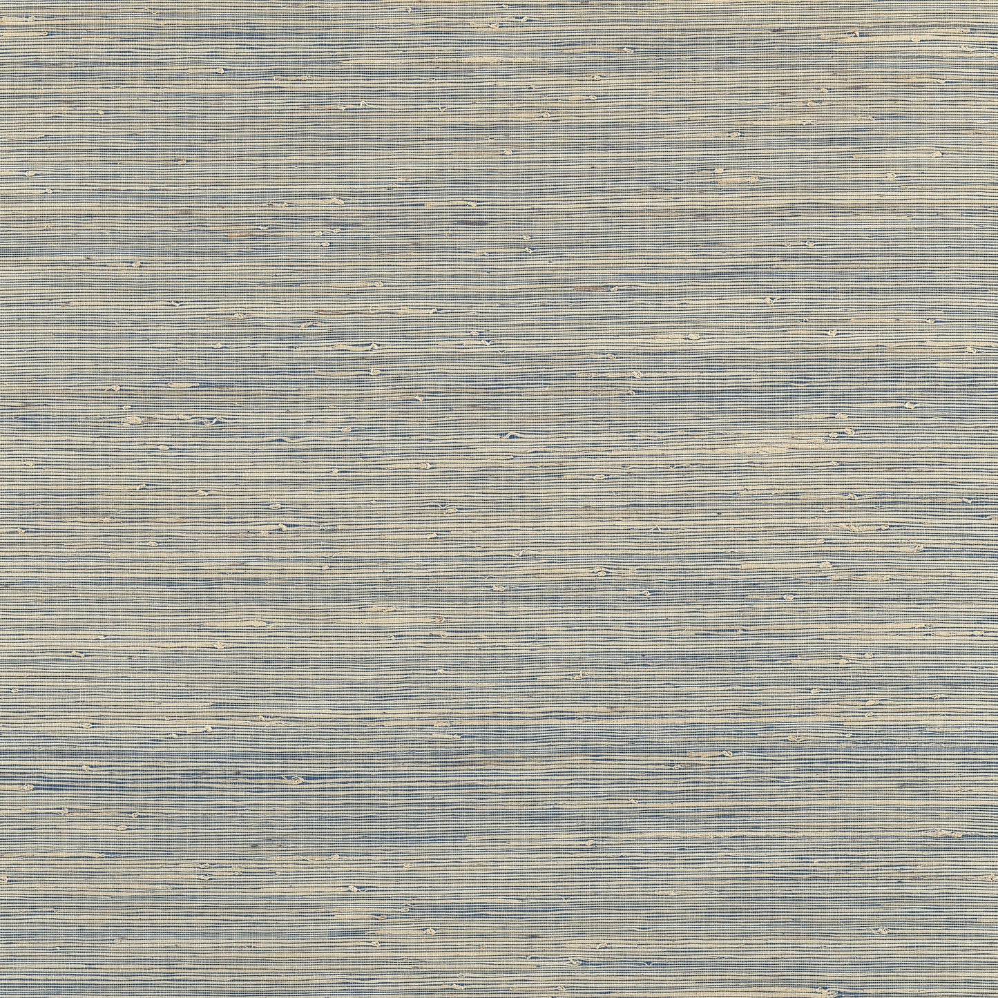 Purchase Thibaut Wallpaper Pattern T19652 pattern name Sydney color Royal Blue.