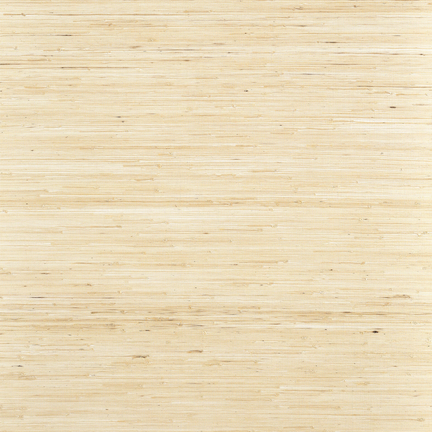 Purchase Thibaut Wallpaper Item T19653 pattern name Sydney color Paperwhite.