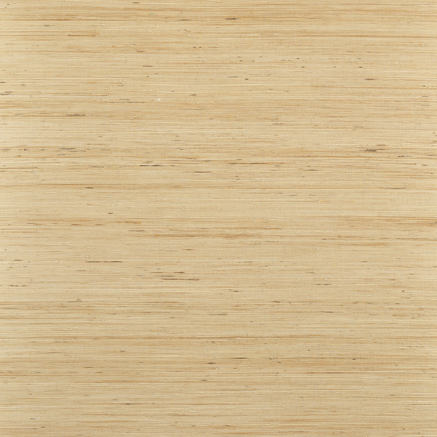 Purchase Thibaut Wallpaper SKU# T19654 pattern name Sydney color Light Taupe.