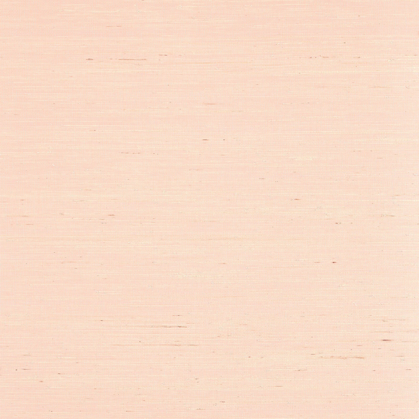 Purchase Thibaut Wallpaper SKU T19655 pattern name Sydney color Seashell.