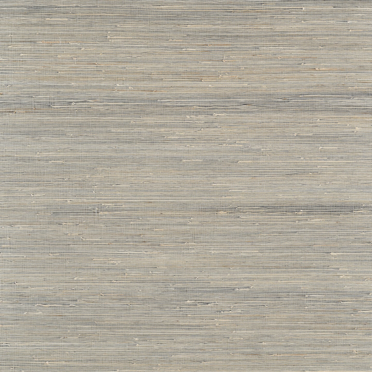 Purchase Thibaut Wallpaper Product# T19659 pattern name Sydney color Black.