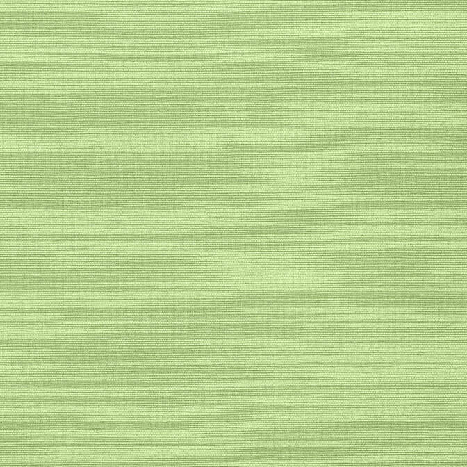 Acquire T287 Taluk Sisal Texture Resource 6 Thibaut Wallpaper