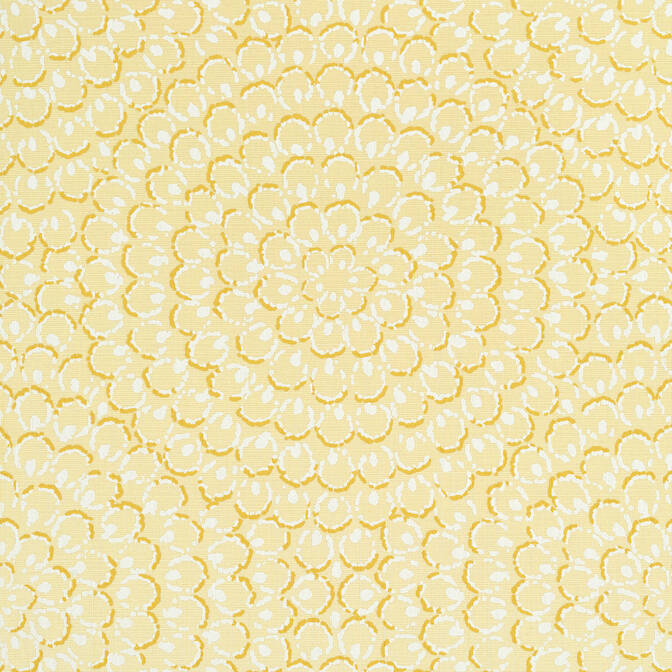 Acquire T4032 Aster Surface Resource Thibaut Wallpaper