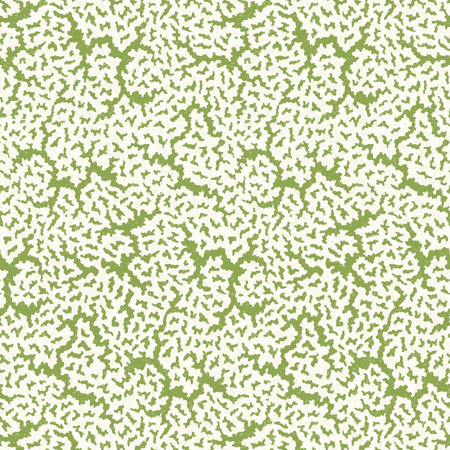 Purchase Thibaut Wallpaper Pattern# T42041 pattern name Maldives color Green.