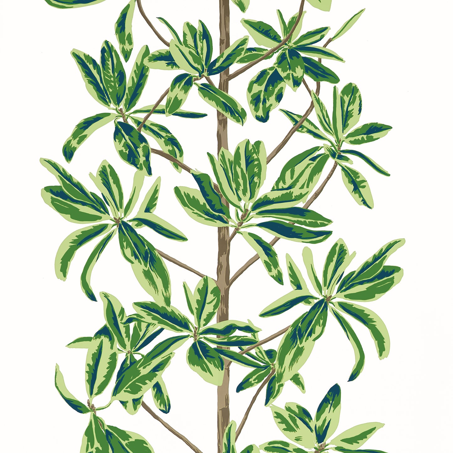 Purchase Thibaut Wallpaper Pattern T45035 Pattern Name Mangrove Tree From The Collection Wanderlust.