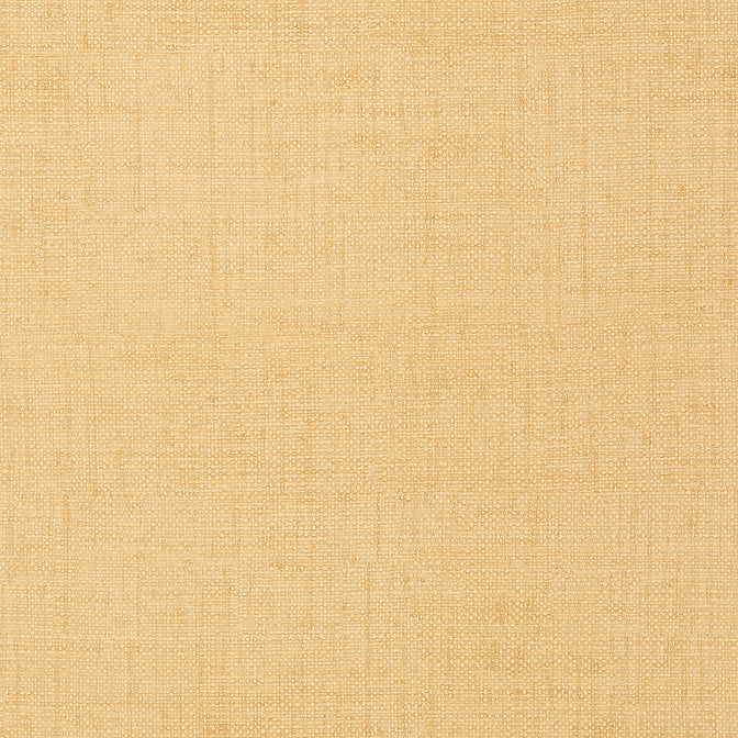 Find T6813 Bankun Raffia Texture Resource 3 Thibaut Wallpaper