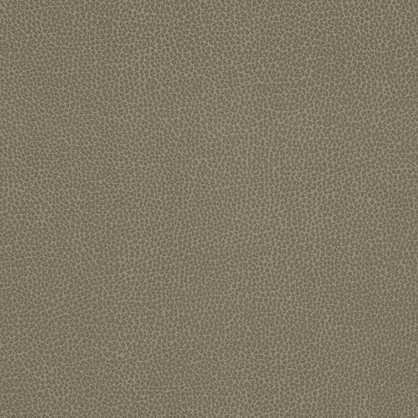 Sample - Tannin.21.0 | Kravet Design, Faux Leather Iv - Kravet Design Fabric