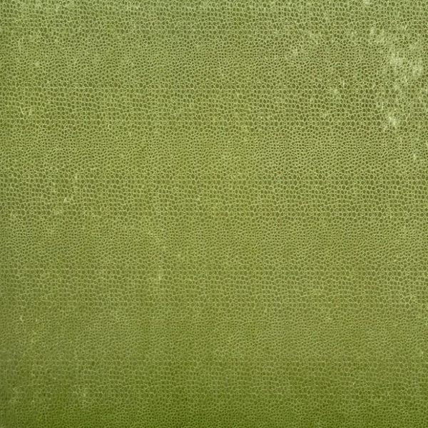 Purchase JF Fabric - Territory 75J5901