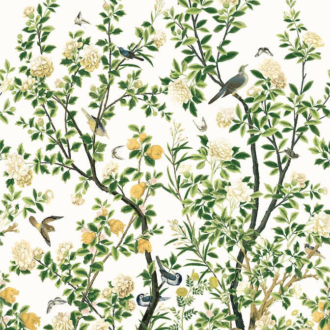 Purchase TM13666 JARDIN BLOOM MURAL, Grand Palace by Thibaut Wallpaper