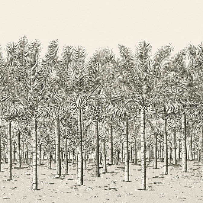 Purchase TM13950 PALM GROVE MURAL, Palm Grove by Thibaut Wallpaper