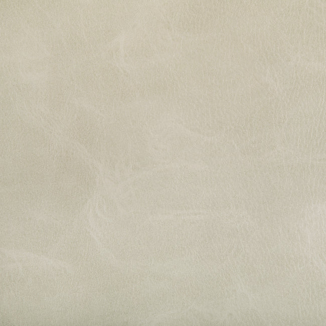 Purchase Toni.1.0 Toni, - Kravet Contract Fabric