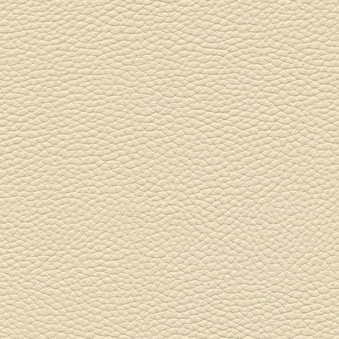 Tebessa-Nj | # 137 Natural - Maxwell Fabric