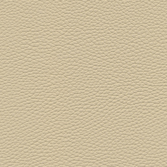 Tebessa-Nj | # 138 Almond - Maxwell Fabric