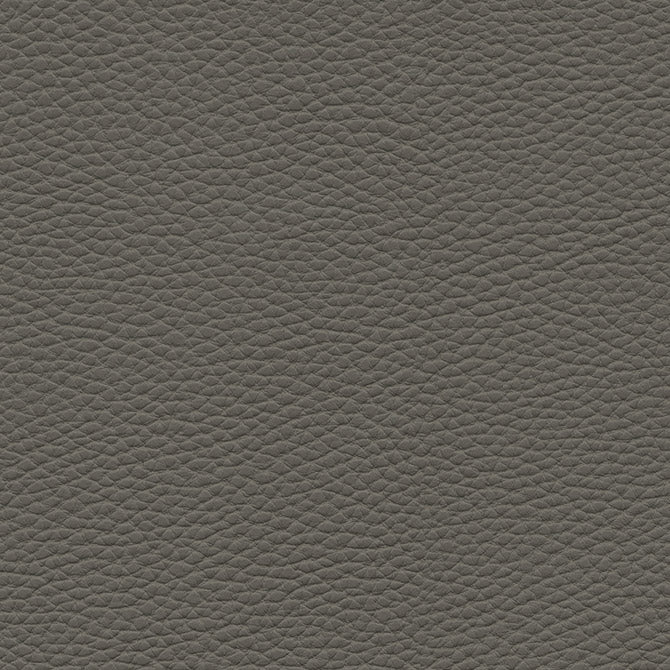 Tebessa-Nj | # 142 Graphite - Maxwell Fabric