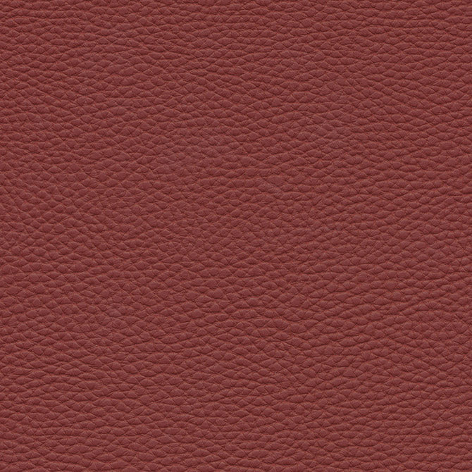 Tebessa-Nj | # 144 Cherry - Maxwell Fabric