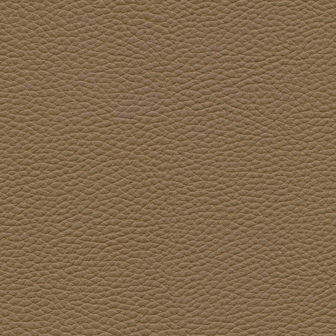 Purchase Maxwell Fabric - Tebessa-Nj, # 145 Coconut