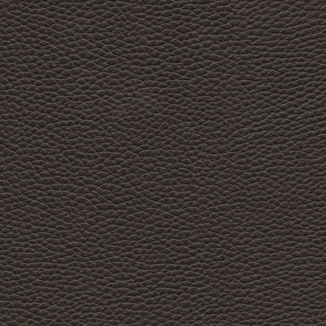 Purchase Maxwell Fabric - Tebessa-Nj, # 147 Star Anise