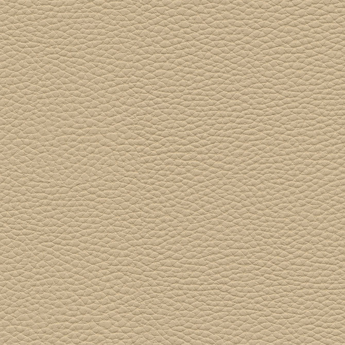 Purchase Maxwell Fabric - Tebessa-Nj, # 152 Birch