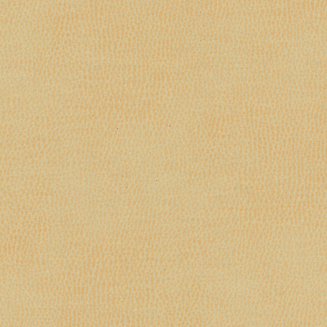 Purchase Maxwell Fabric - Top Grain-Nj, # 840 Boer