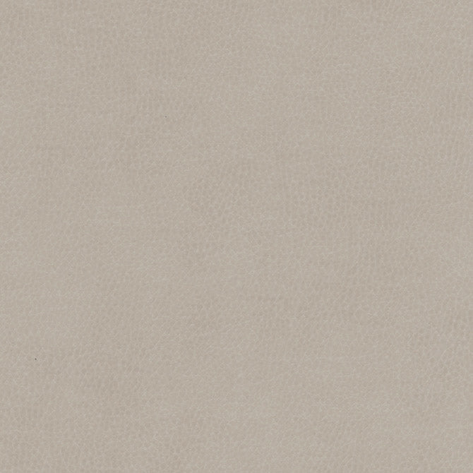 Purchase Maxwell Fabric - Top Grain-Nj, # 844 Vanilla
