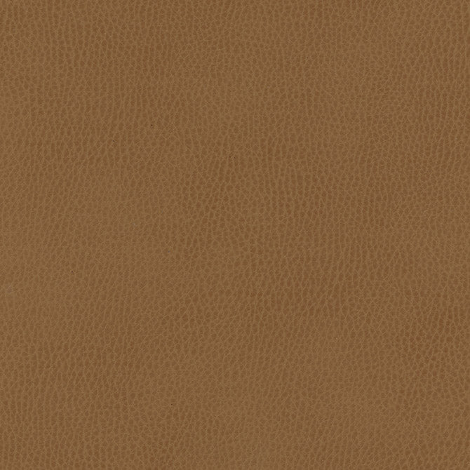 Purchase Maxwell Fabric - Top Grain-Nj, # 856 Paso