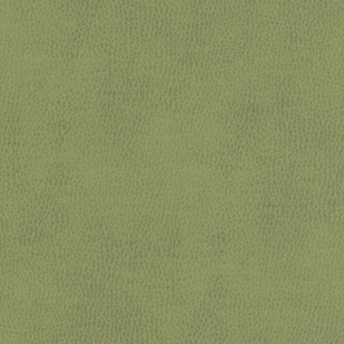 Purchase Maxwell Fabric - Top Grain-Nj, # 857 Celery