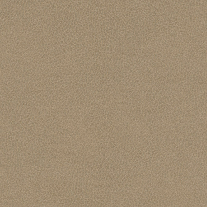 Purchase Maxwell Fabric - Top Grain-Nj, # 864 Grey Hound