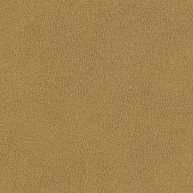 Purchase Maxwell Fabric - Top Grain-Nj, # 866 Coin