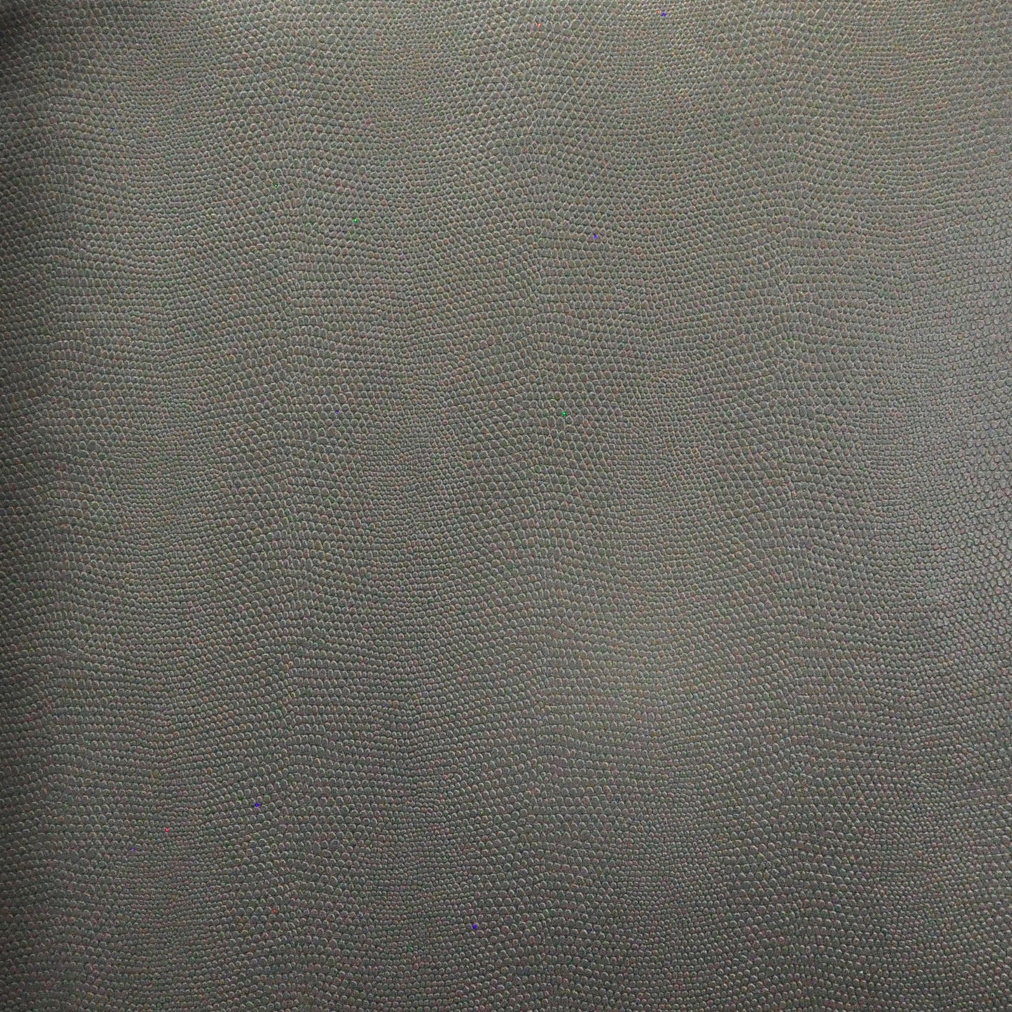 Taipan | # 747 Panther - Maxwell Fabric