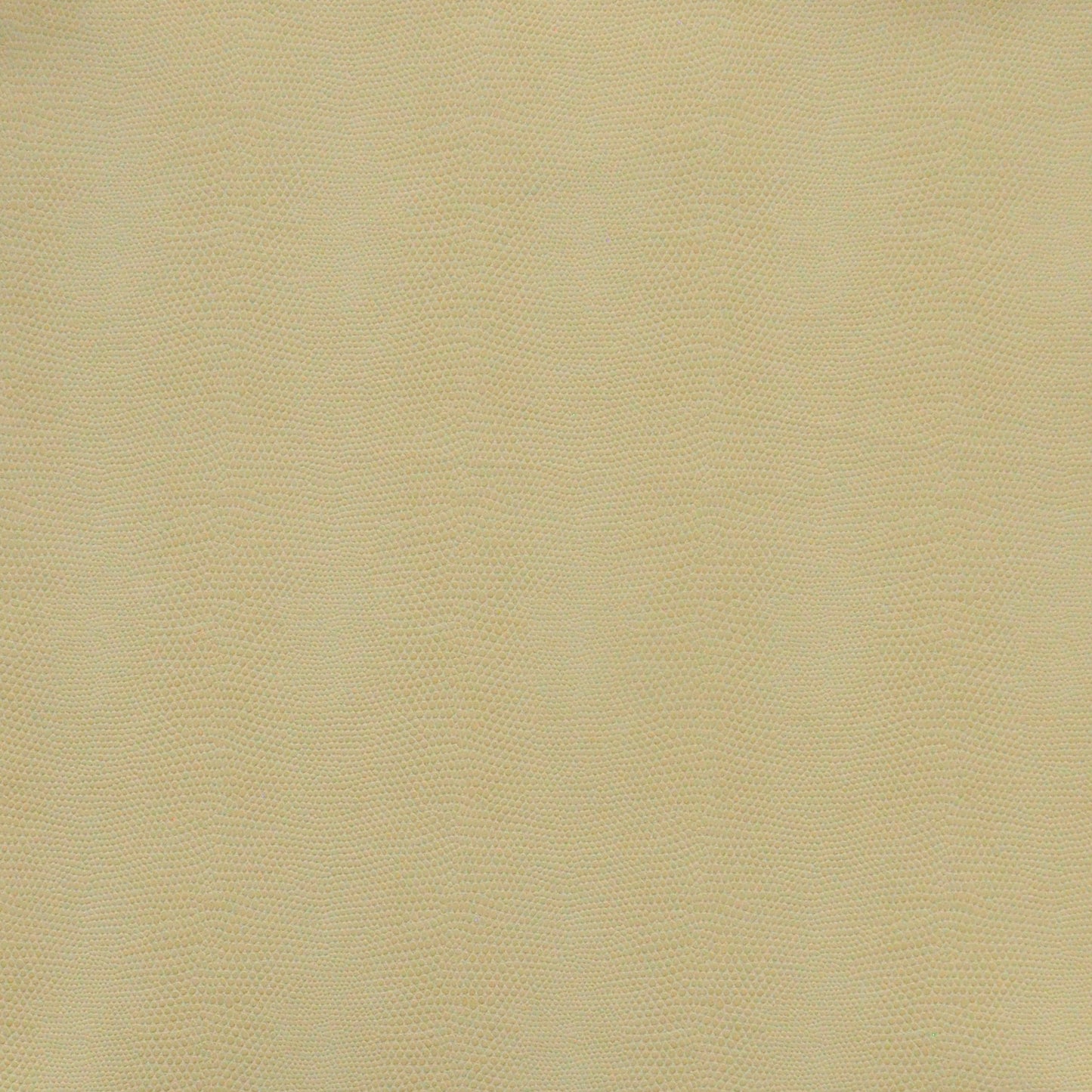 Taipan | # 756 Mushroom - Maxwell Fabric