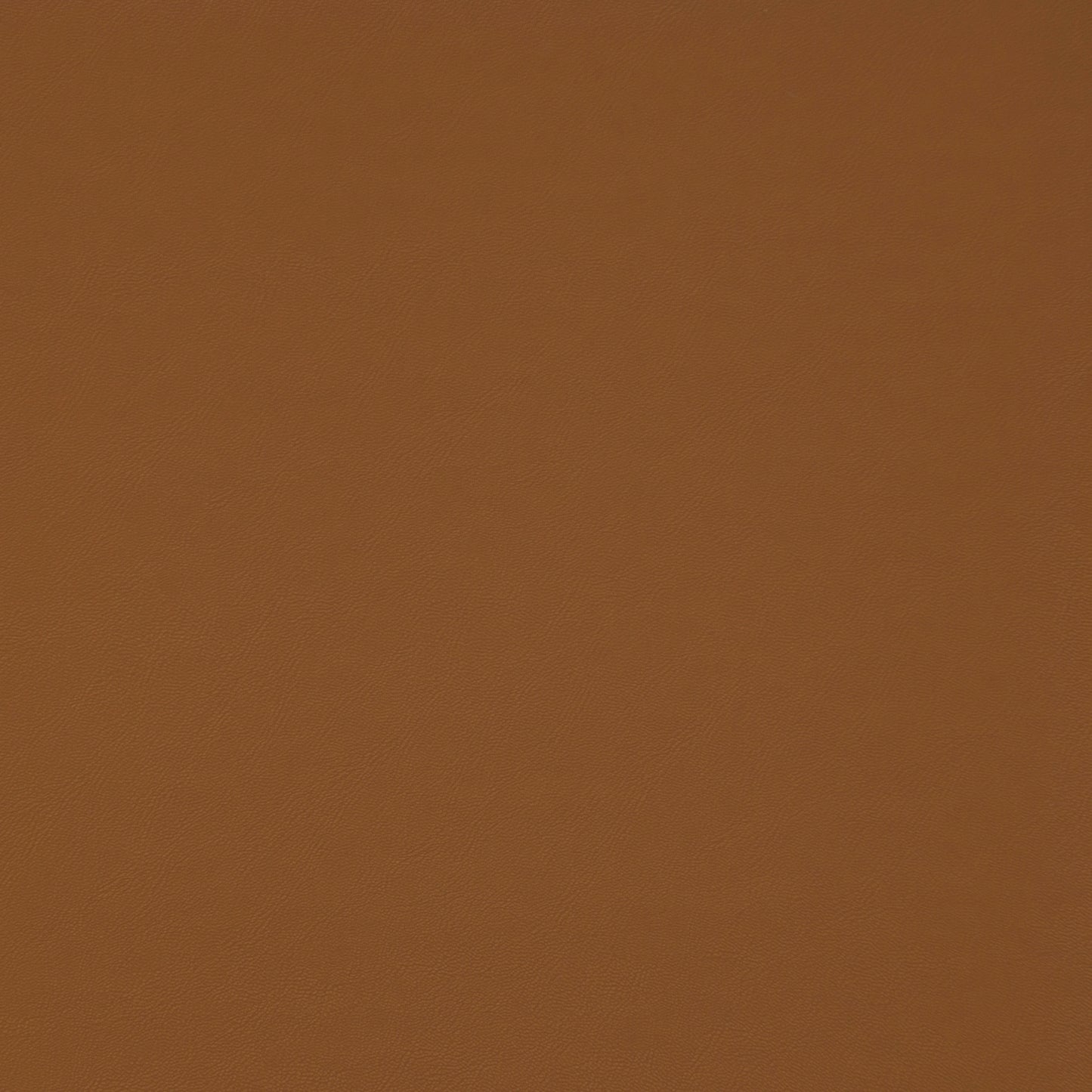 Purchase Maxwell Fabric - Trailrider, # 106 Butternut