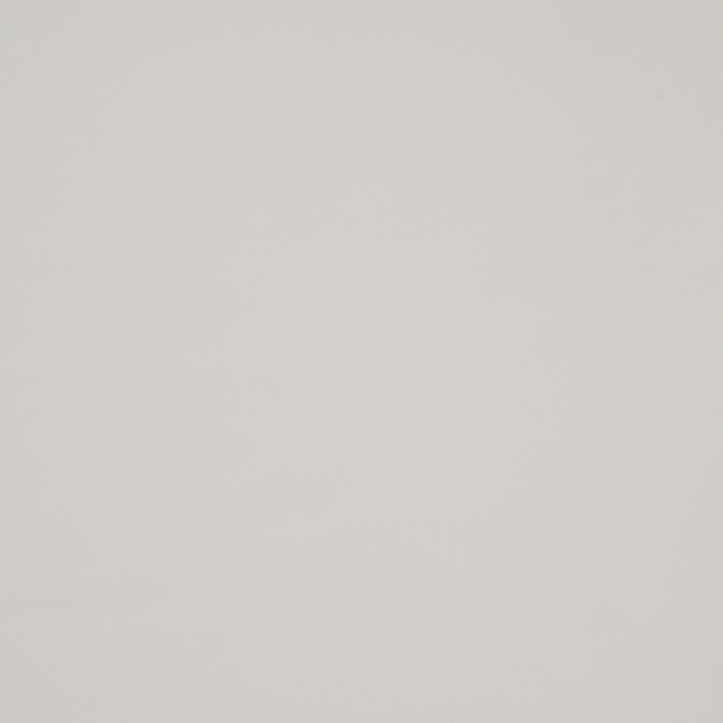 Purchase Maxwell Fabric - Trailrider, # 117 White