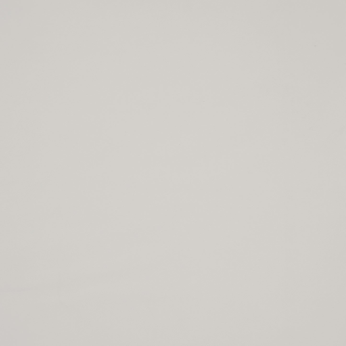 Purchase Maxwell Fabric - Trailrider, # 117 White